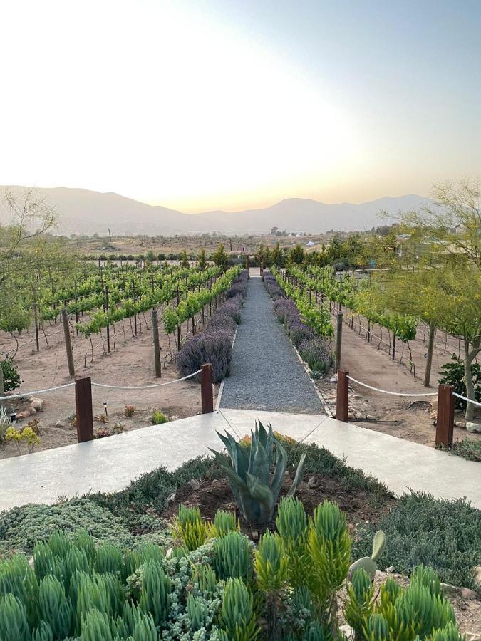 Luna Del Valle Villa Valle de Guadalupe Exterior photo